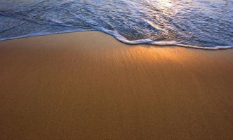 SSuite Office Article Header Image.